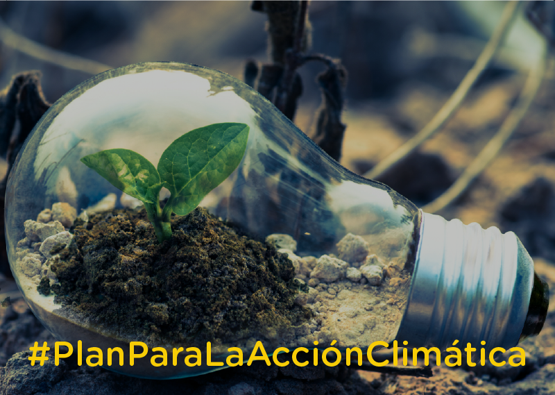 Ya salieron los resultados del Desafío #PlanParaLaAcciónClimática