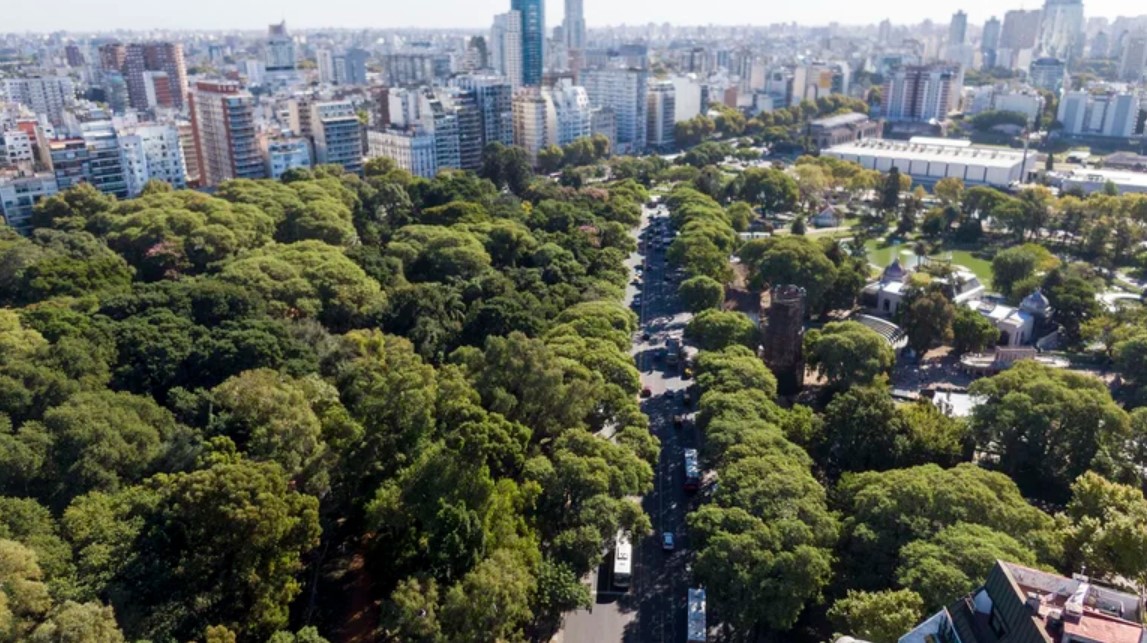 La Ciudad lanza Arbopedia, un portal con información exclusiva sobre el arbolado público porteño