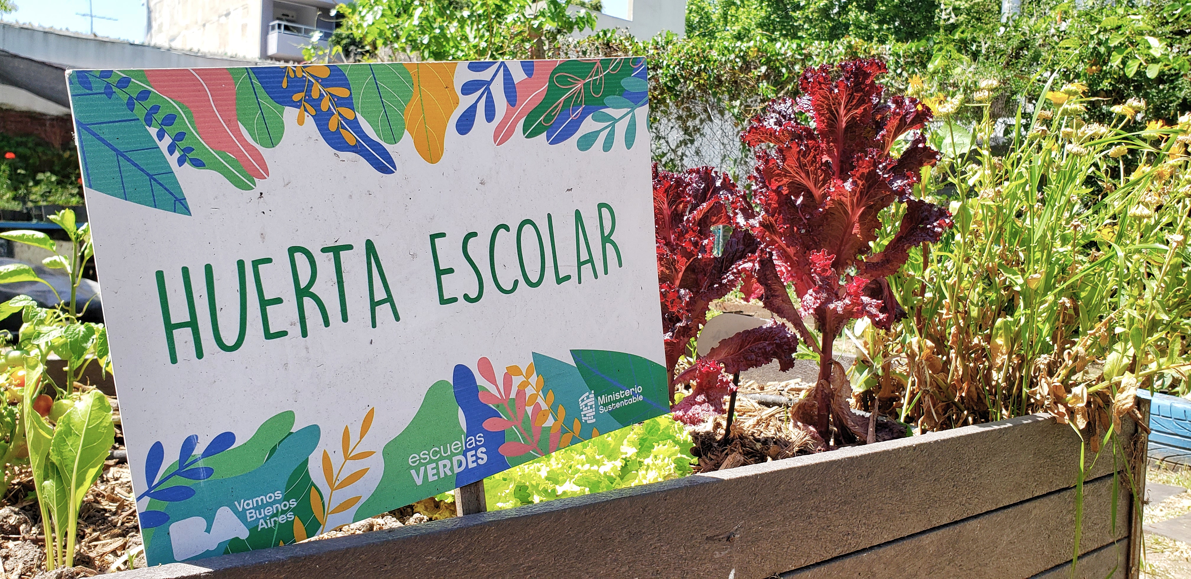 Huerta y biodiversidad: las escuelas, en contacto con la naturaleza