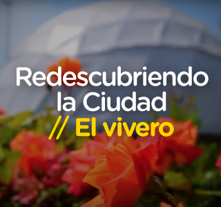 Redescubriendo el vivero de la Ciudad