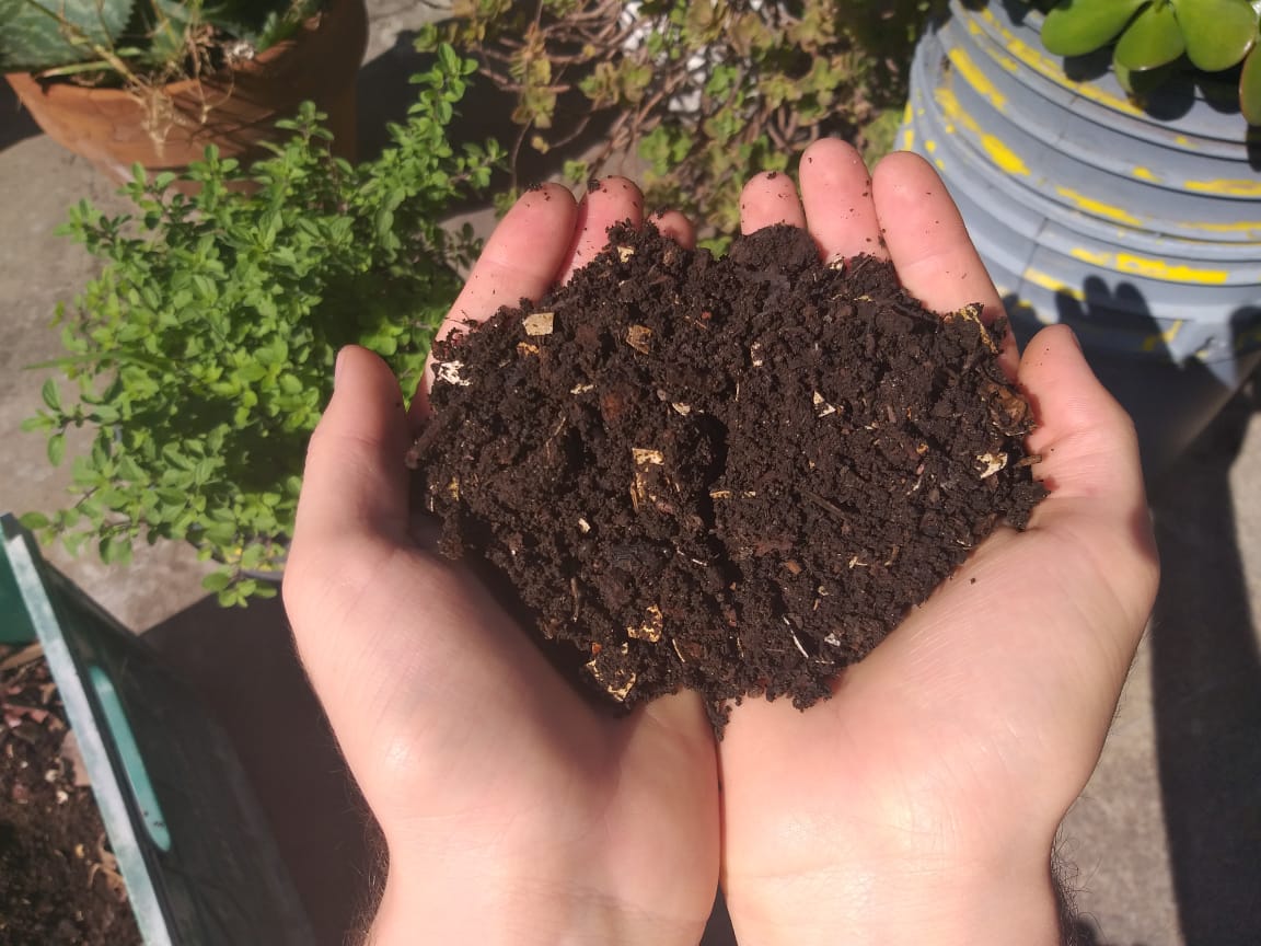 Compostaje, una manera de reciclar