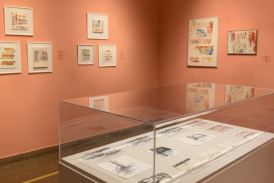 Visita guiada especial