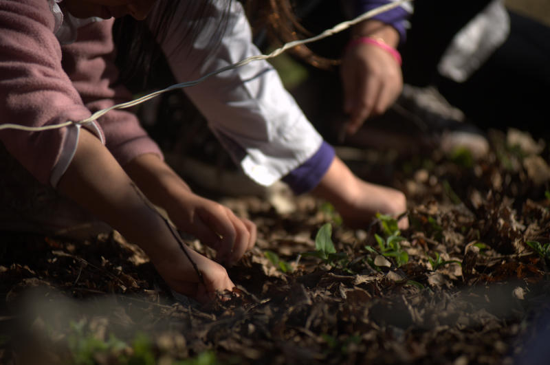 Día de la Tierra: hacia un futuro sustentable