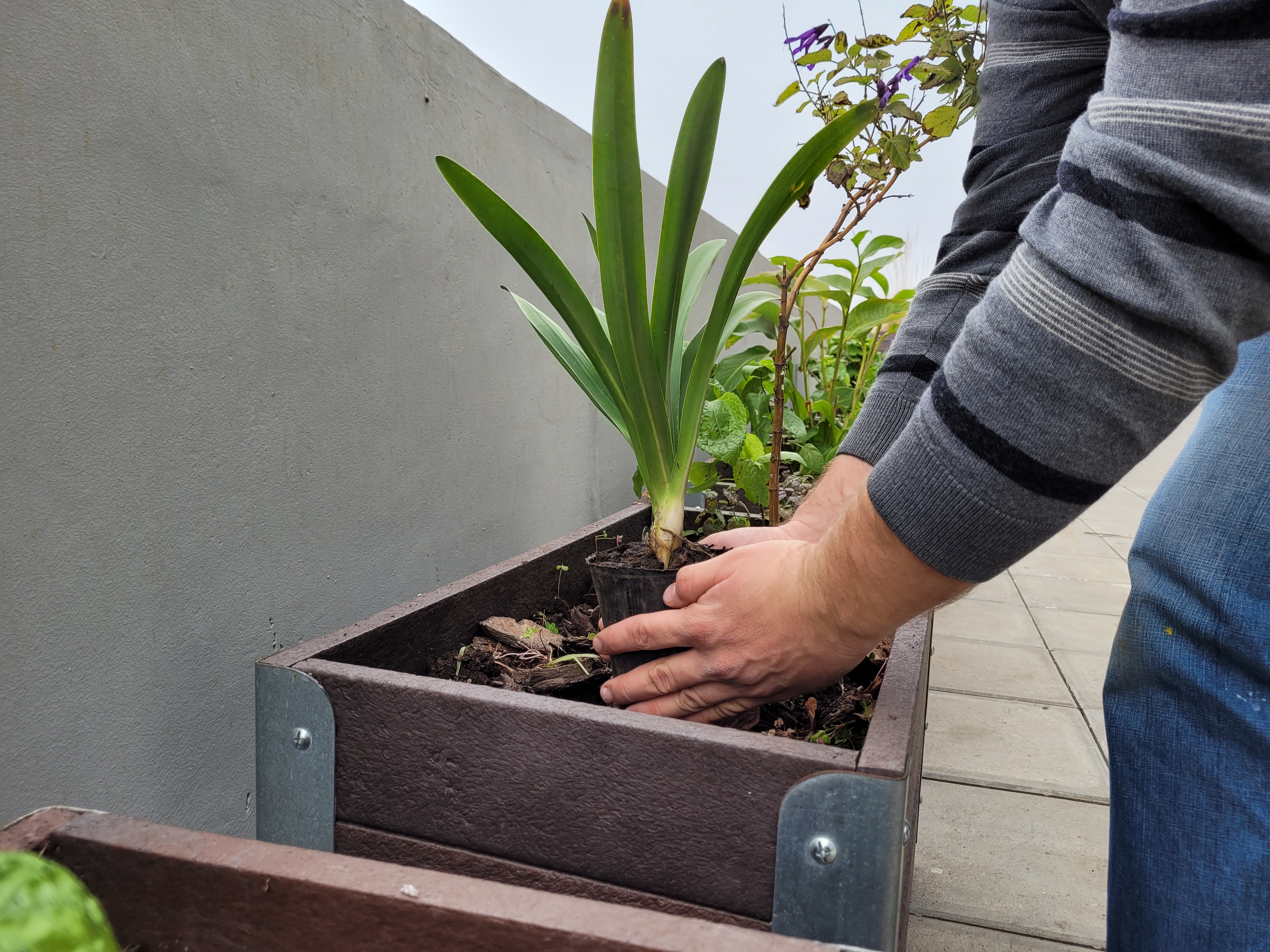 Día Mundial del Ambiente