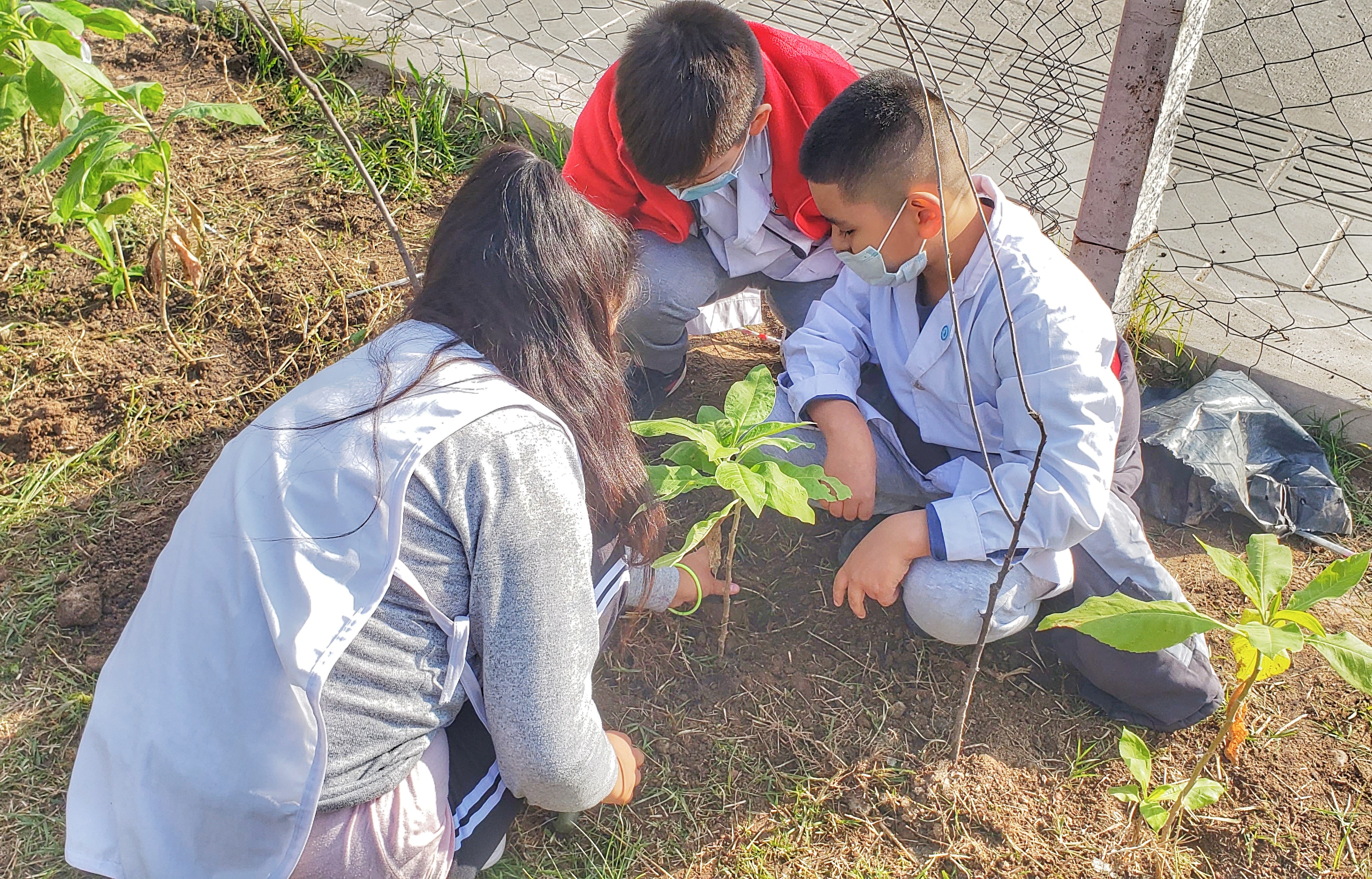 Escuelas más verdes