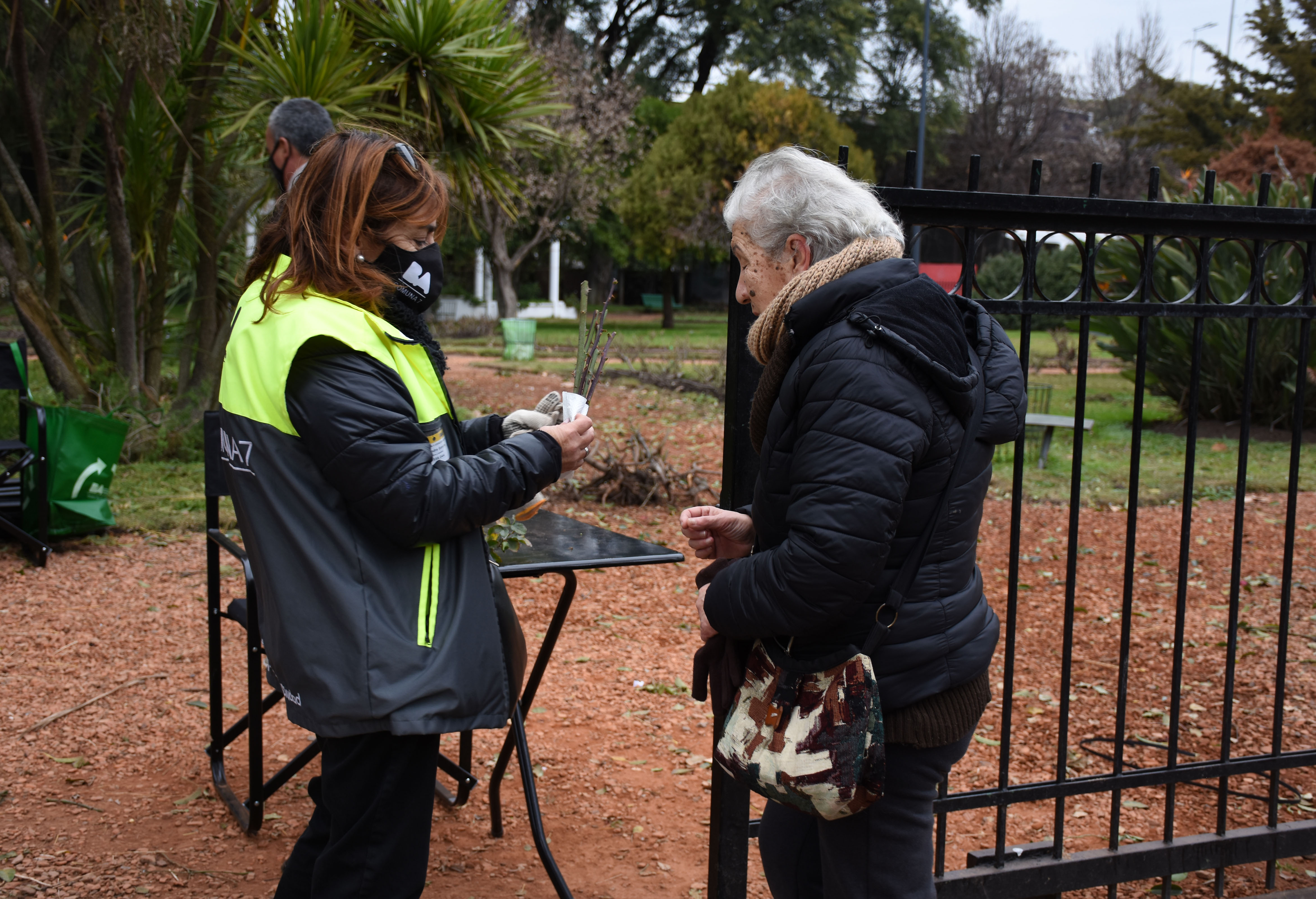 El rosedal de Parque Chacabuco repartió esquejes a los vecinos para plantar en casa