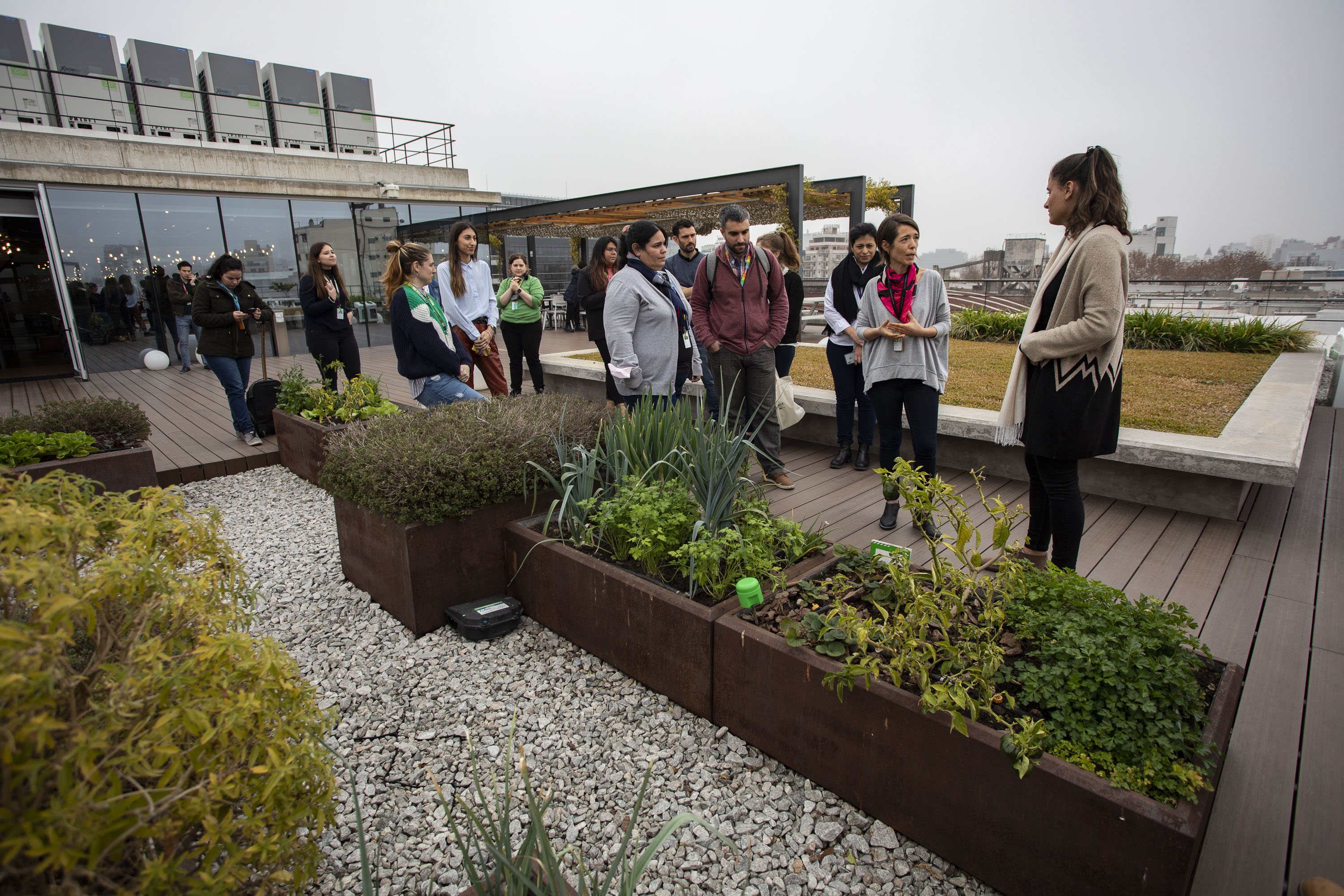 La Ciudad ya reconoció a 90 entidades con el Sello Verde