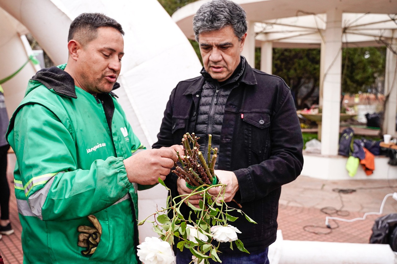 Poda en El Rosedal