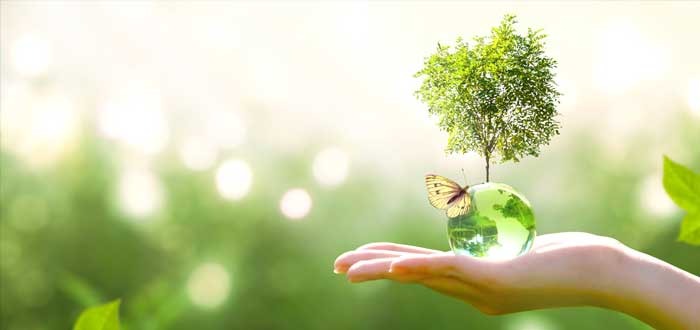 Día de la Conciencia Ambiental: se realiza el Encuentro de Triple Impacto en el Ecoparque