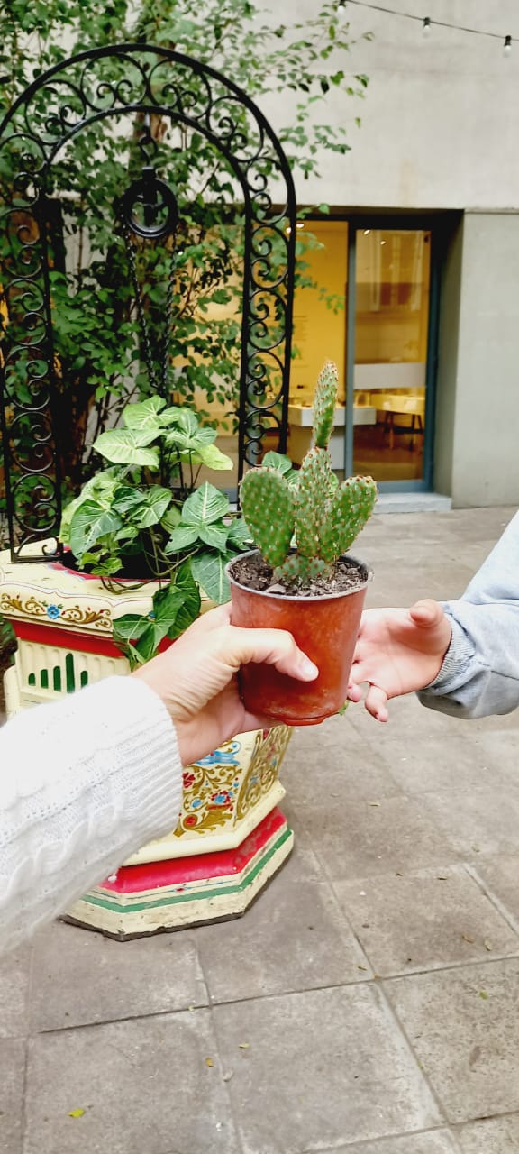 Jornada de intercambio de plantas, semillas y saberes 