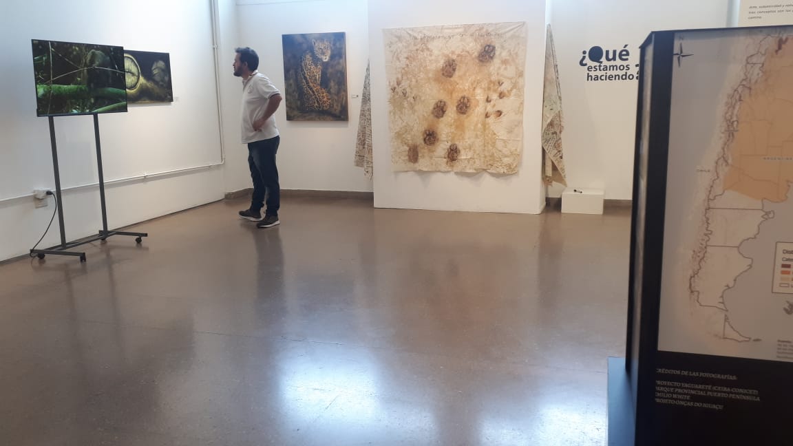 Muestra «¿Qué estamos haciendo?»