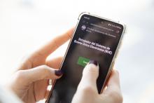 Simulador web Paso 2023