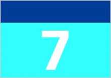 Bandera de colectivo 7