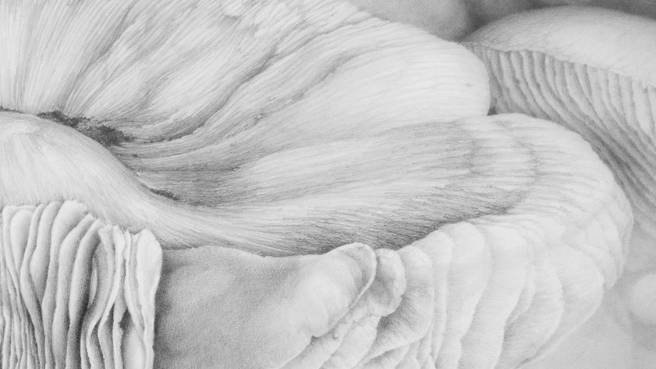 63° Salón de Artes Plásticas Manuel Belgrano