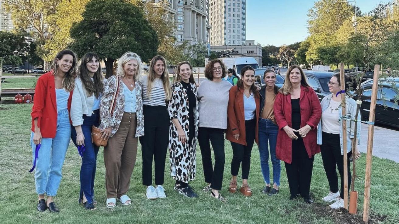 Plantación de árboles