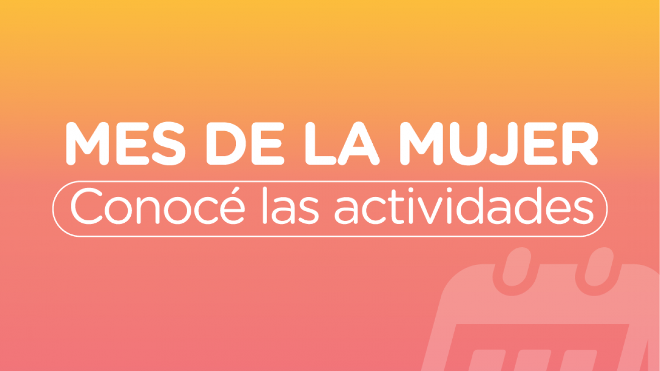 Conocé las actividades