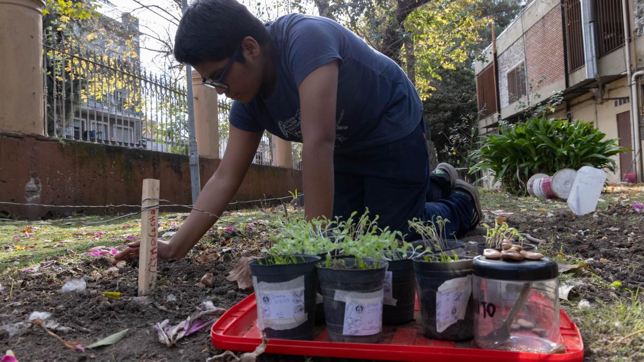 Escuela Técnica N.° 34