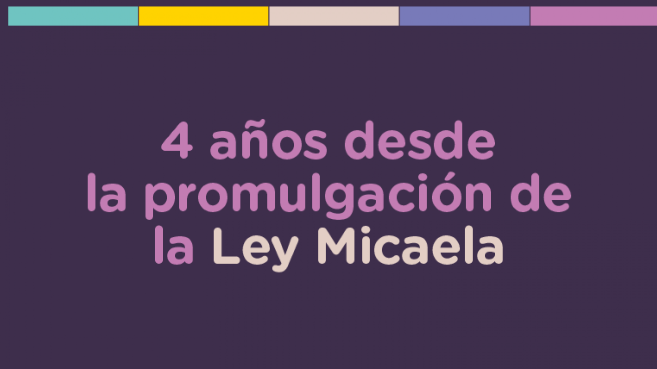 ley micaela