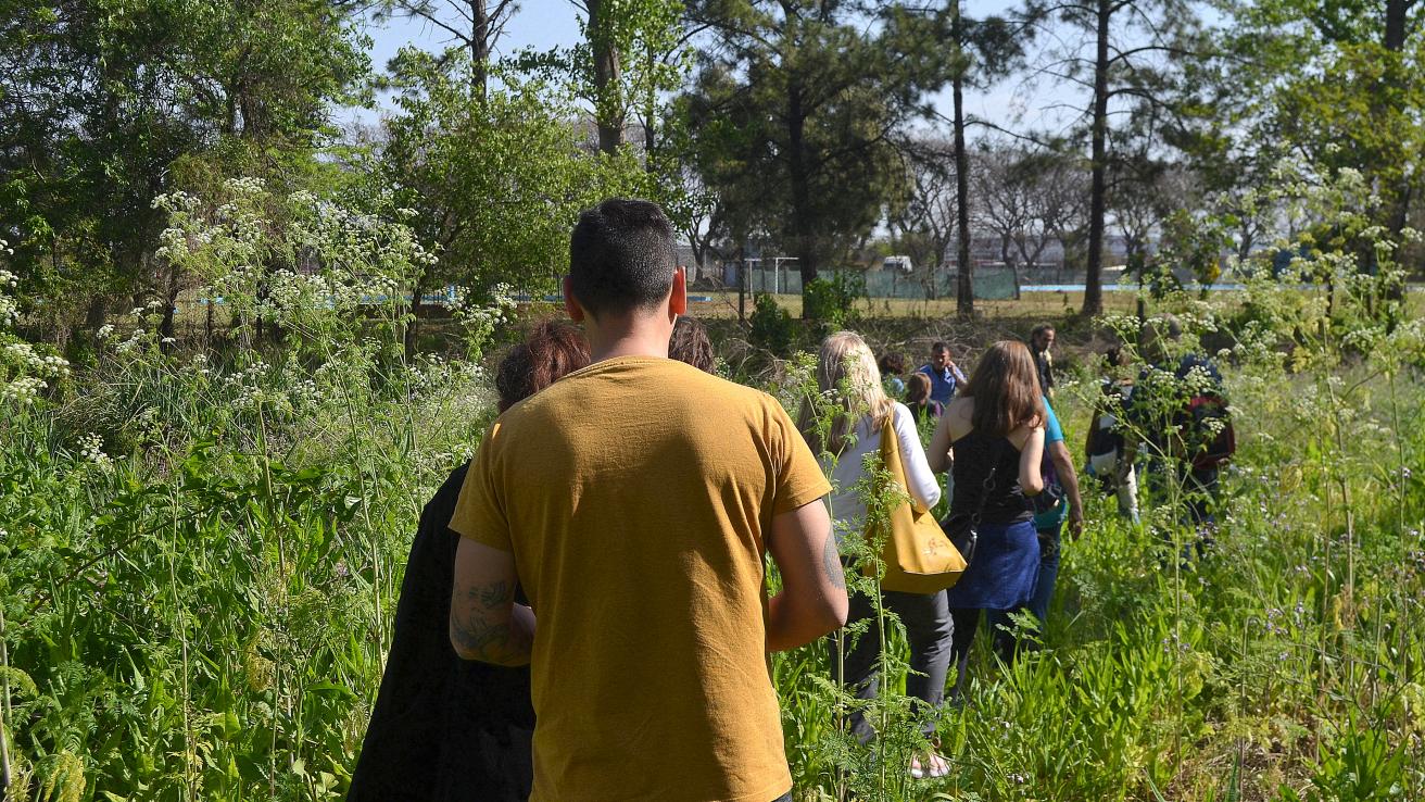 gente caminando en un lugar con mucho pasto 