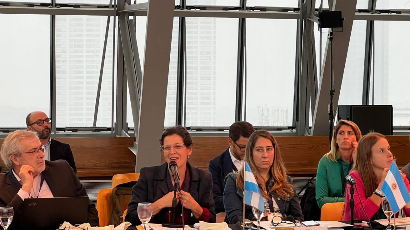 La titular del OGDAI en el encuentro de la RTA