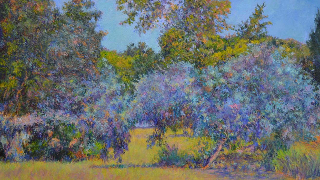 la naturaleza después del desastre