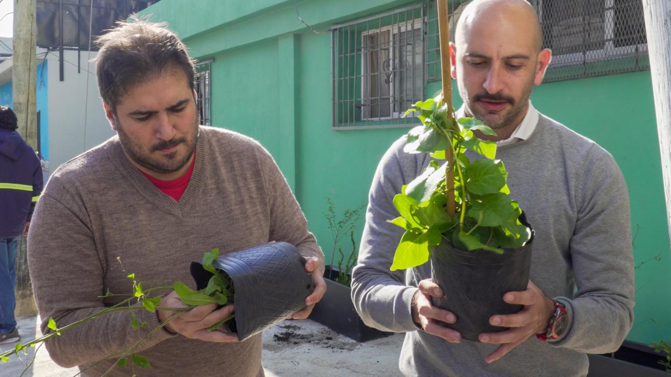funcionatios con plantas