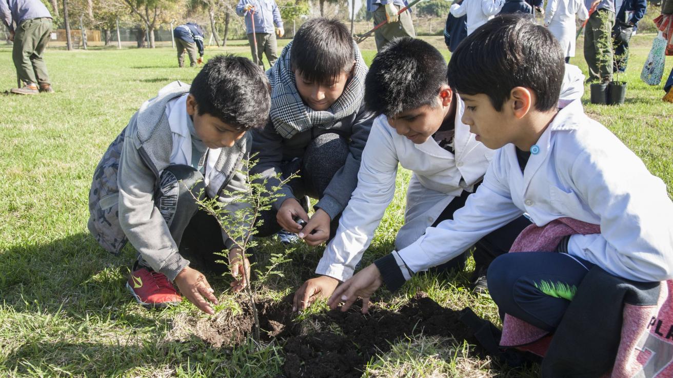 Calendario ambiental