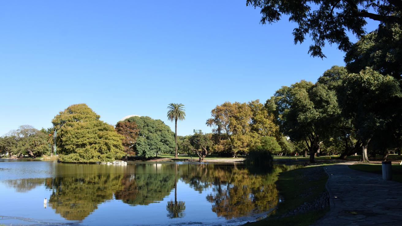 beneficios del arbolado