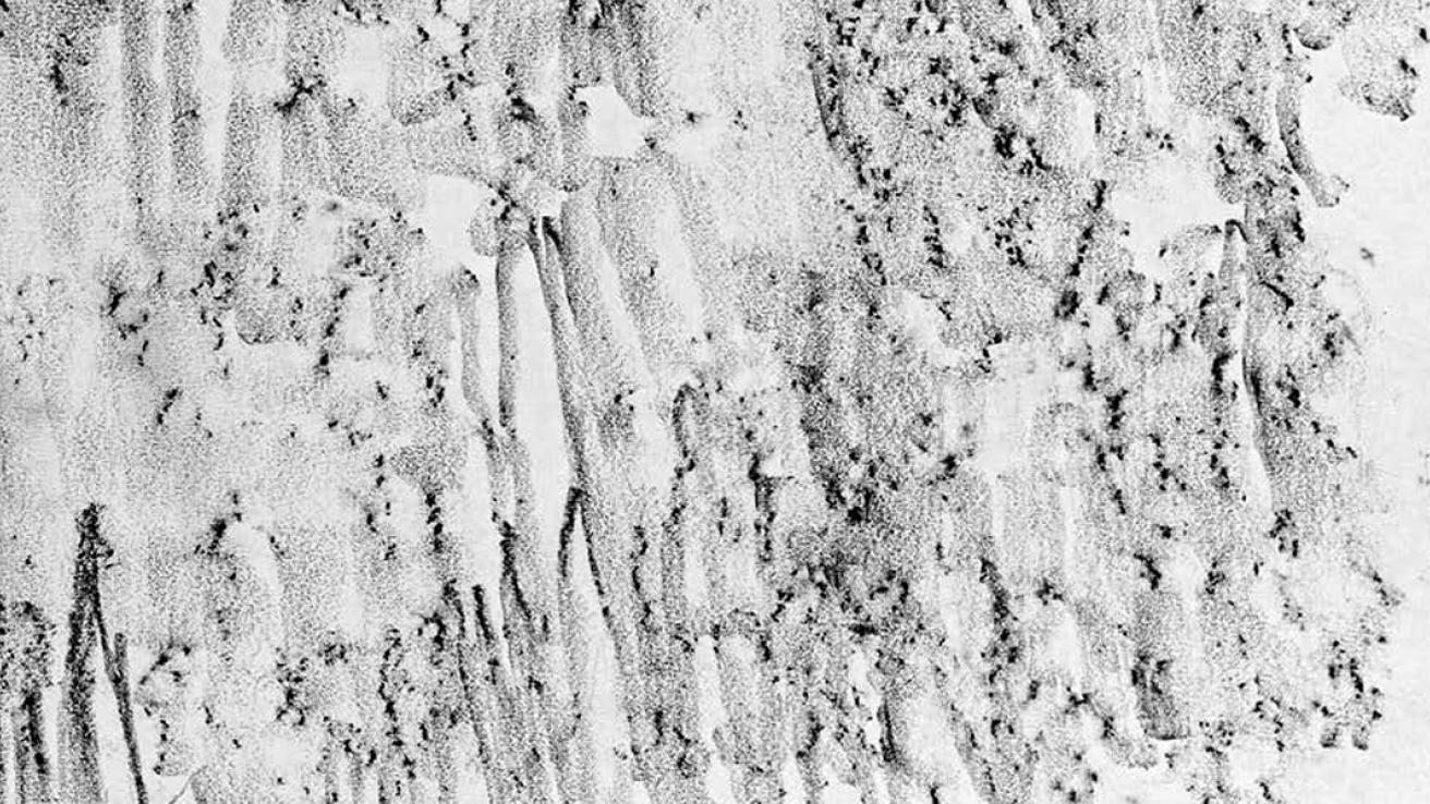 18-Memoria de la Materia