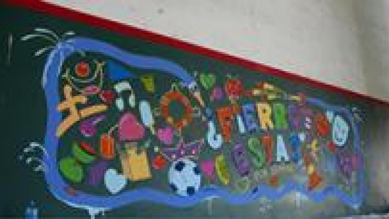 Polideportivo Martin Fierro