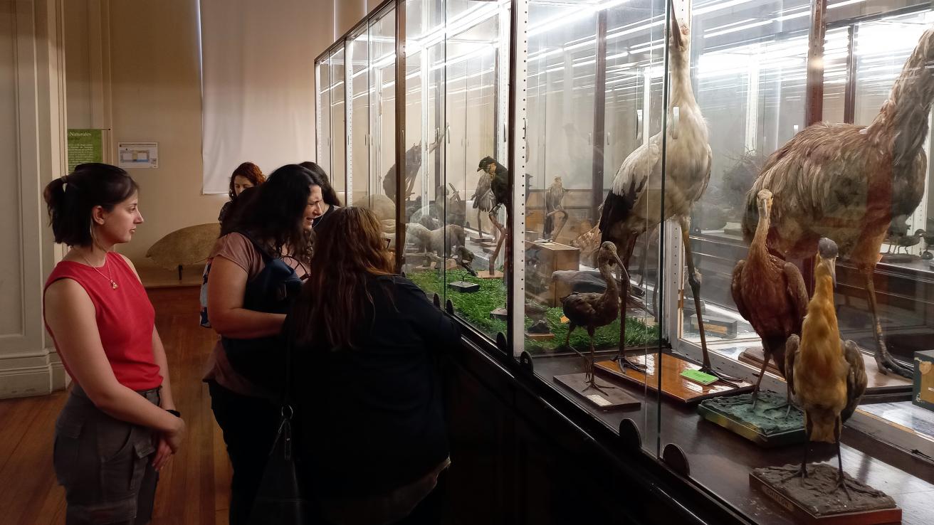 Camino hacia un Museo Virtual