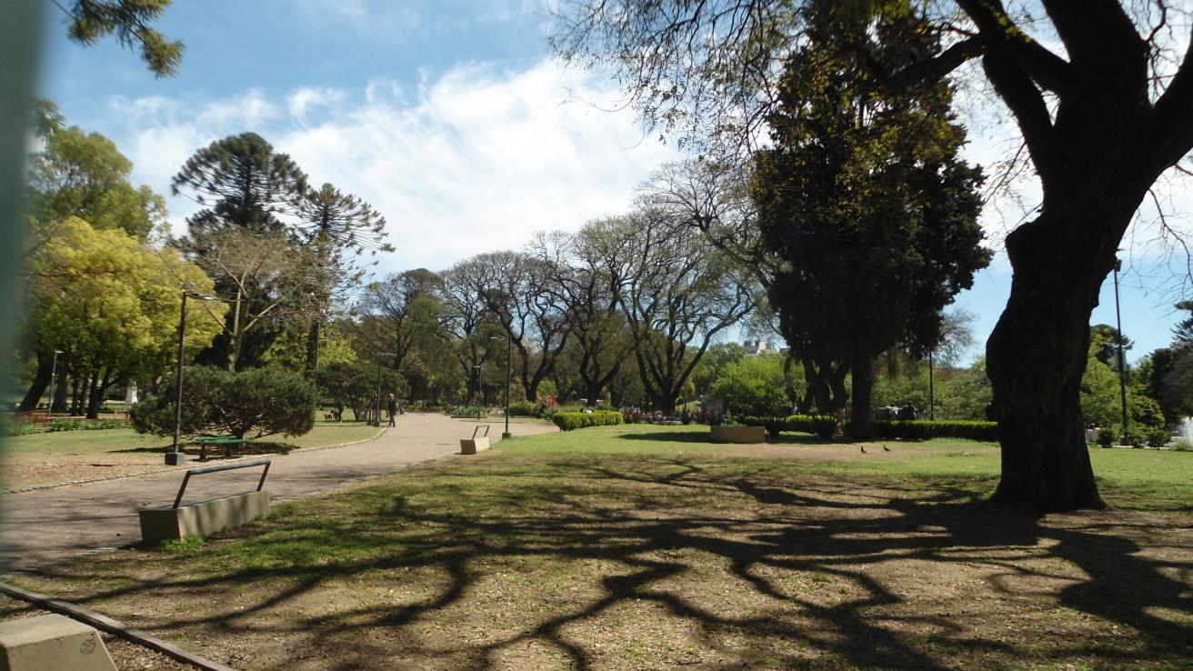 Sombras de árboles en el parque