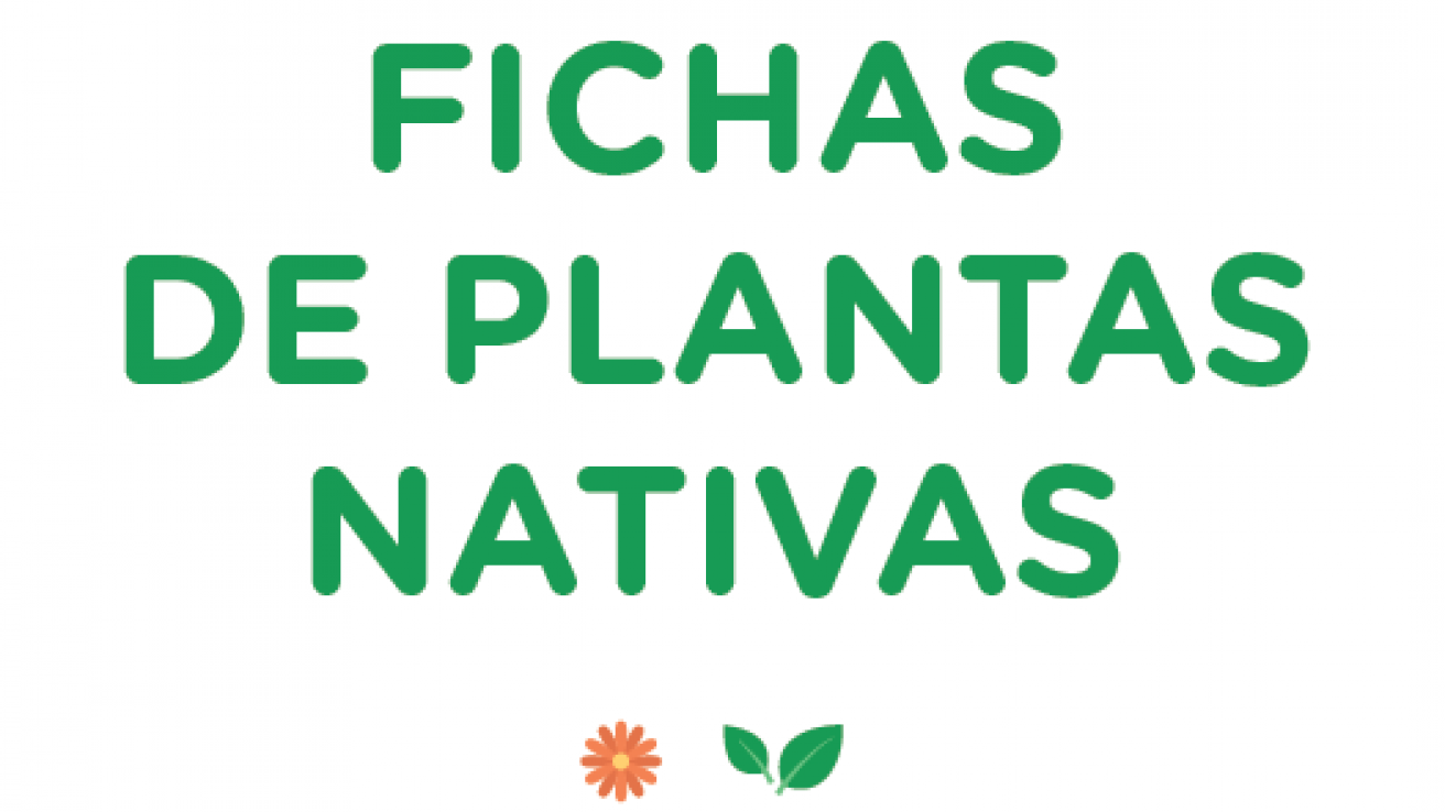 Fichas de plantas nativas