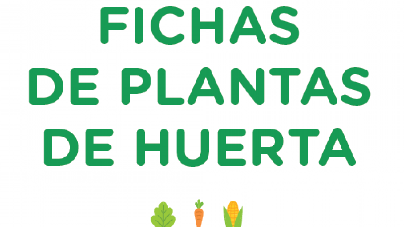 Fichas de plantas de huerta