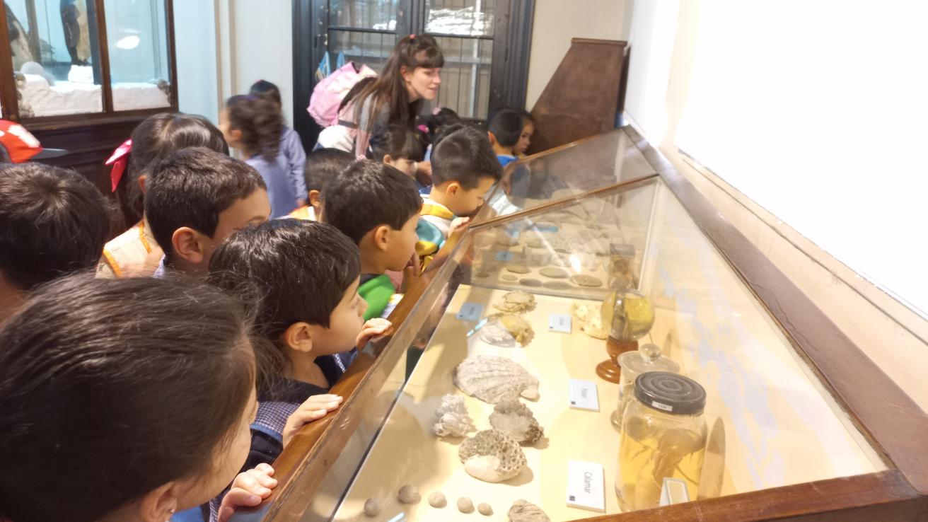 Conocé el museo bernasconi