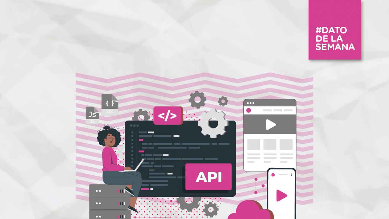 Persona usando API para desarrollar software.
