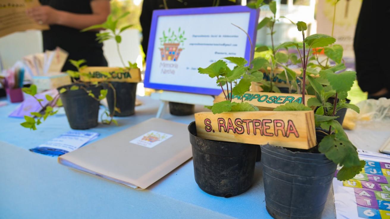 Registro de Unidades Productivas de la Economía Popular y Social