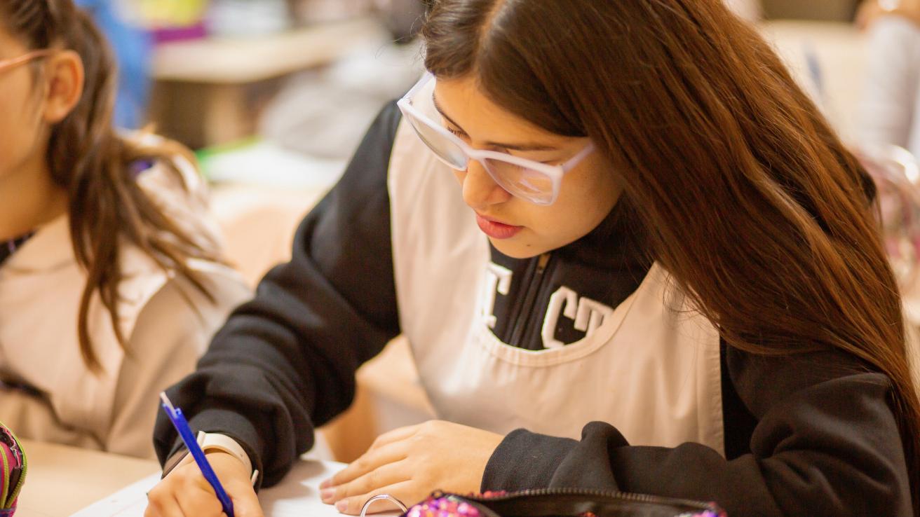 Pausas Evaluativas 2024