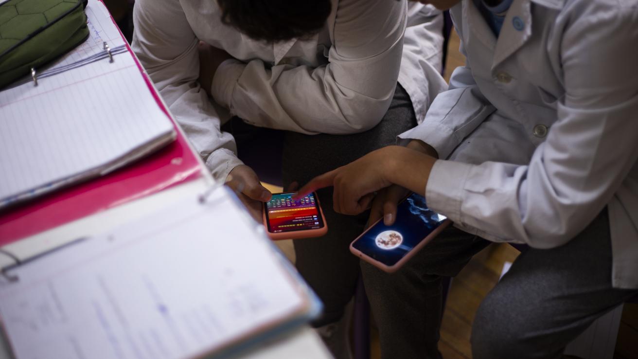 regulacion celulares 1