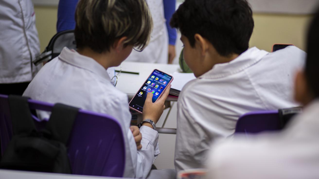 Regulacion celulares