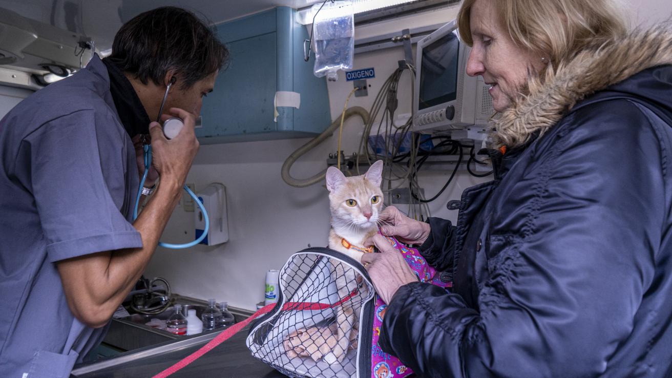 Más servicios en tu barrio