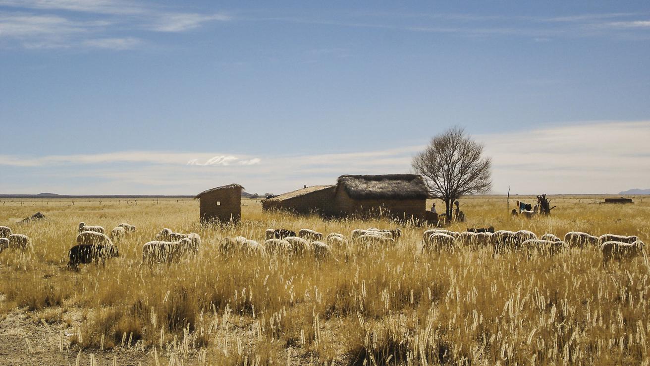 alrededores del paraje Mirafloers de la Candelaria
