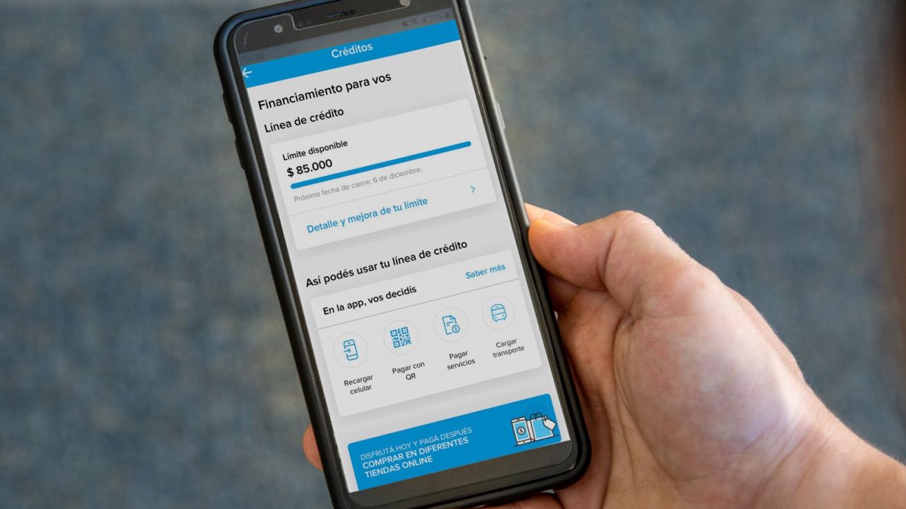 Defensa al consumidor