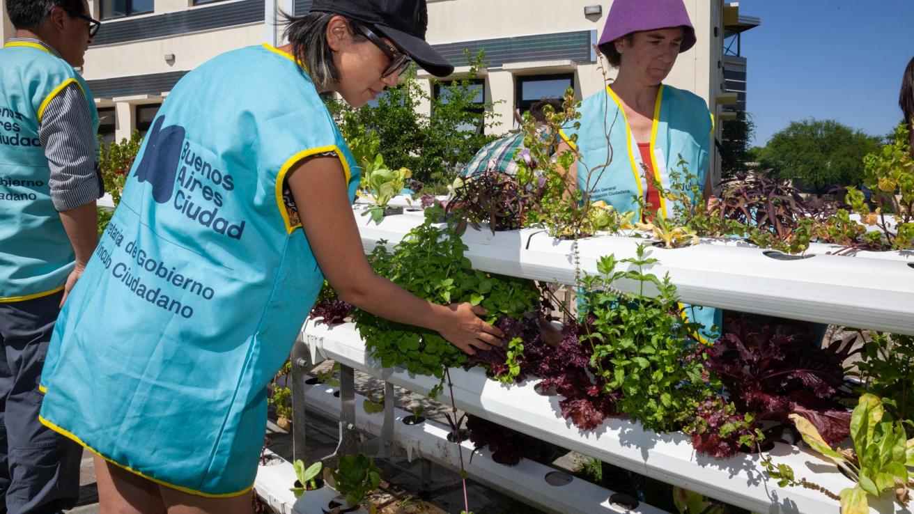 Voluntarios en el CIFA