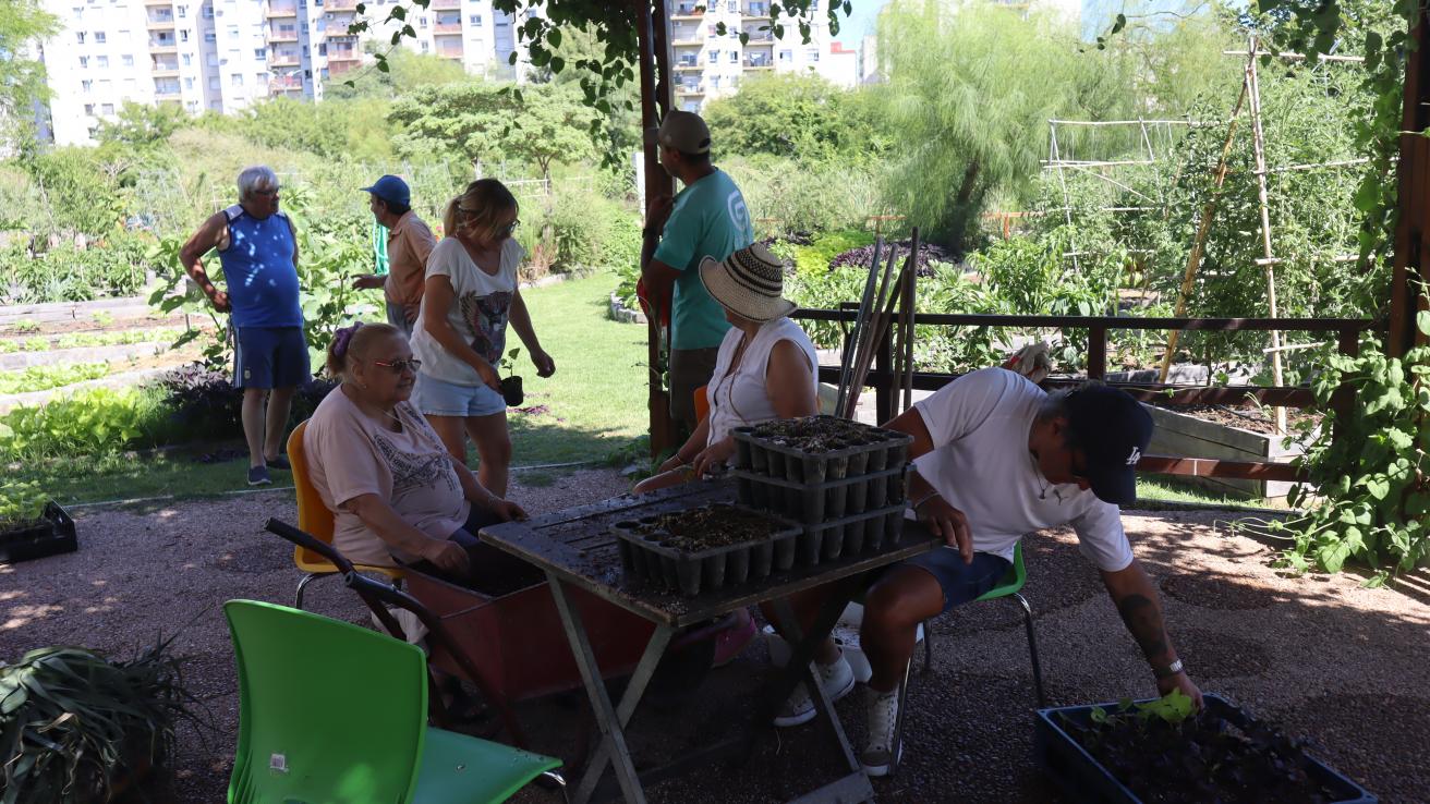 Voluntariados gratuitos de vivero y agricultura urbana