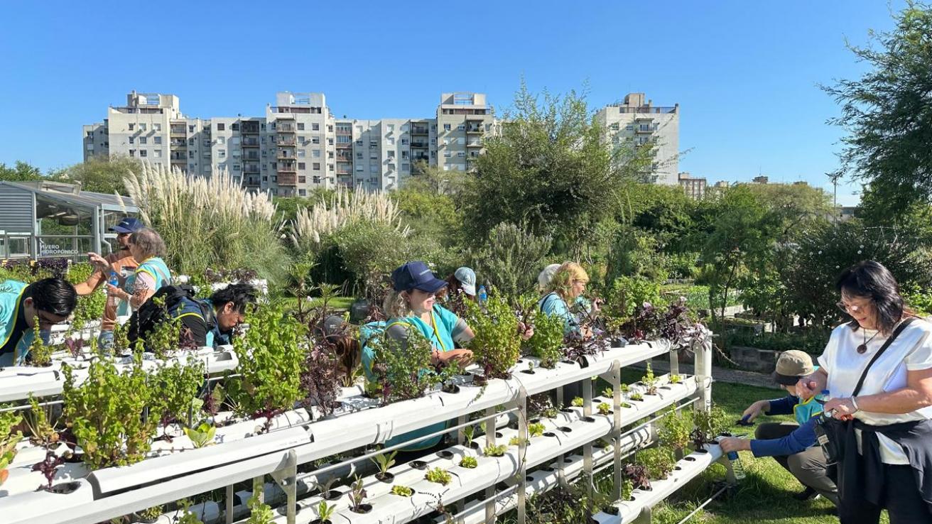 Voluntarios en el CIFA