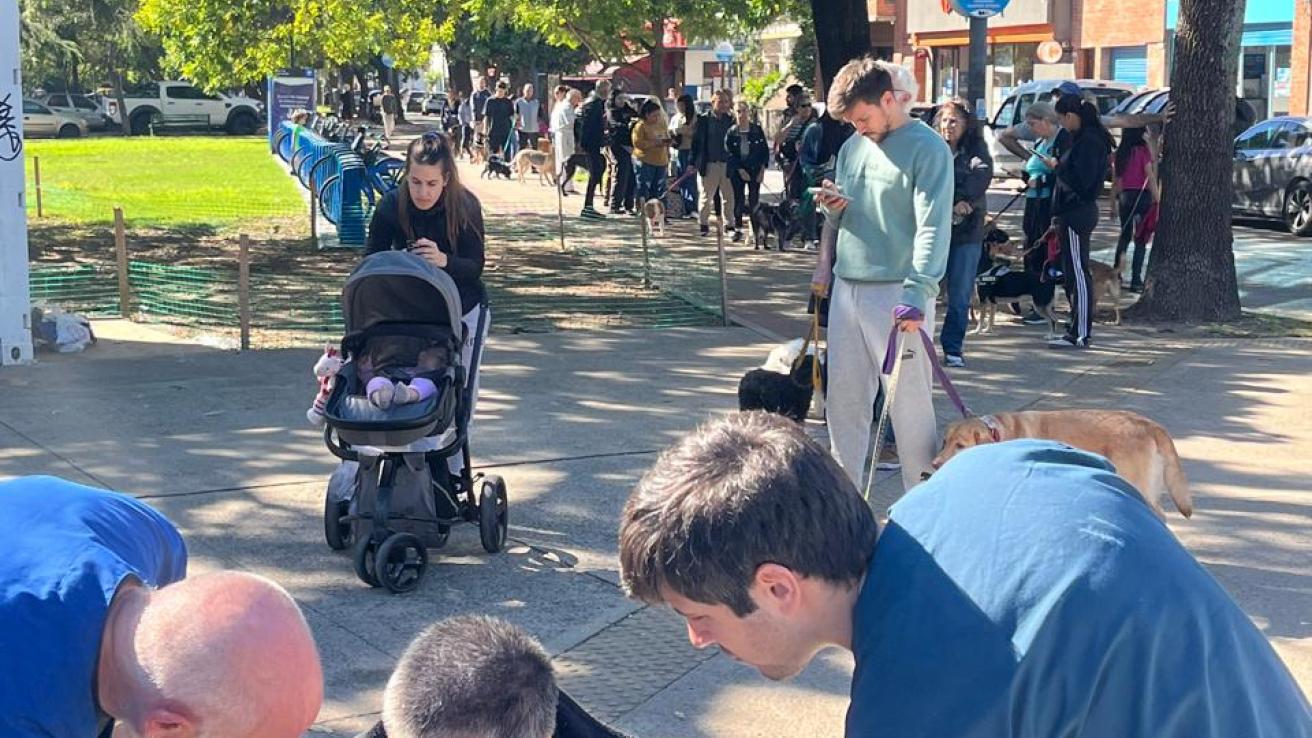 Postas de salud para mascotas en la Ciudad