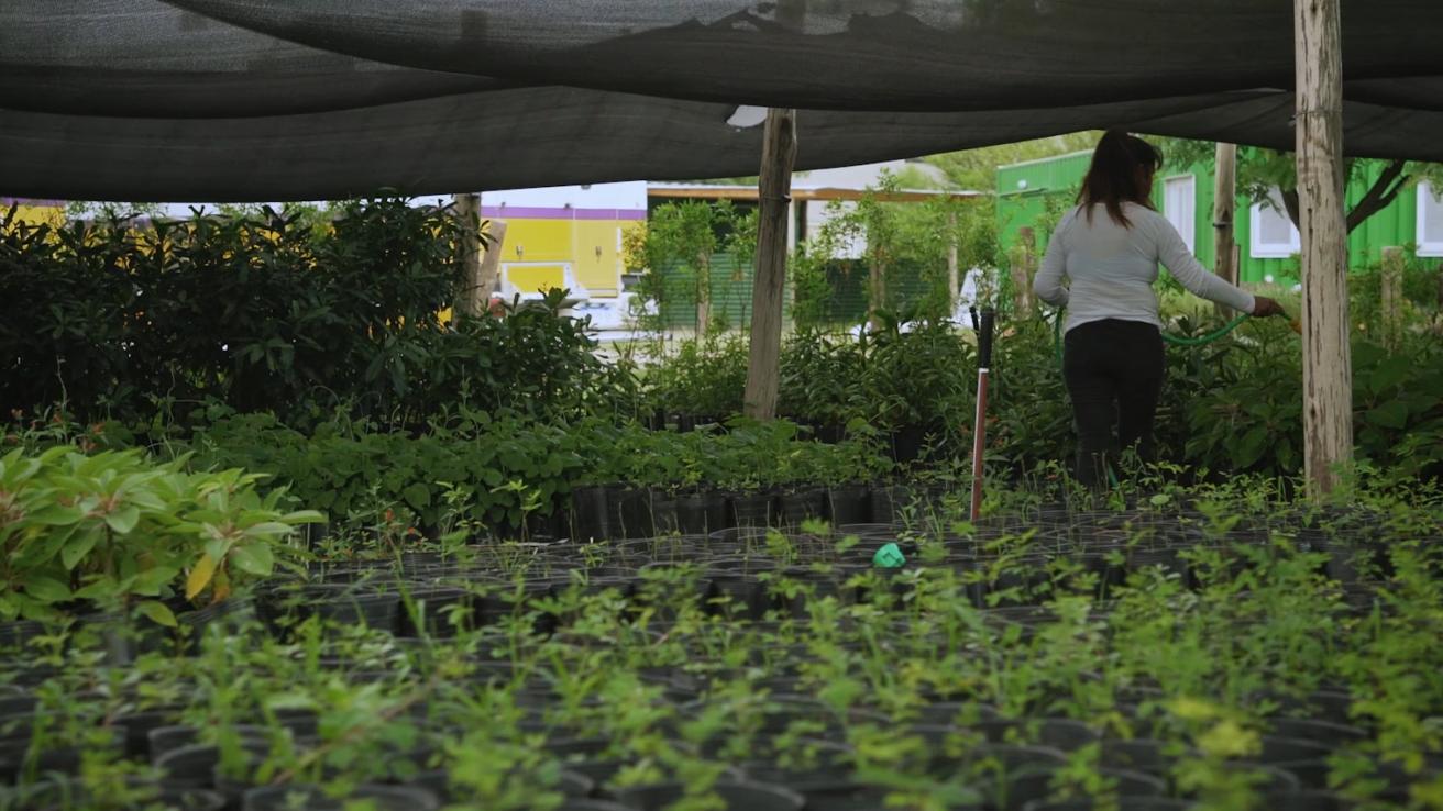 Voluntariado en CIFA