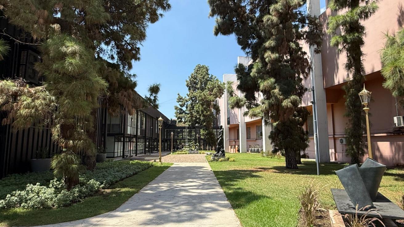 Imagen de WhatsApp 2025-02-06 a las 14.38.17_ab597893.jpg