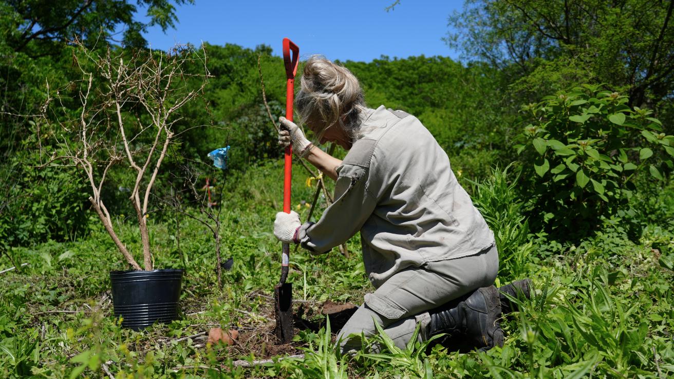 Reserva Ecológica Costanera Norte